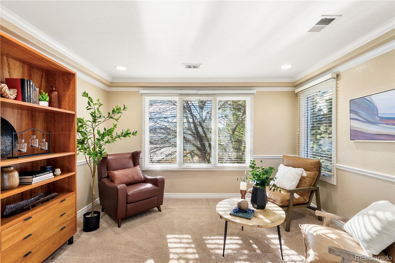 MLS Image #29 for 291  fairchild drive,highlands ranch, Colorado