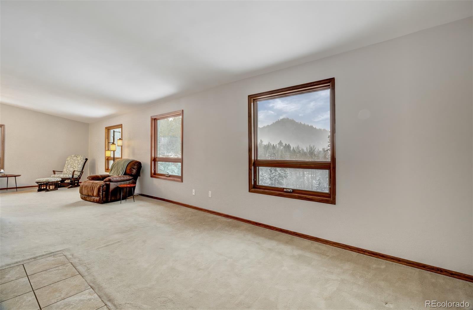 MLS Image #10 for 5865  waterfall loop,manitou springs, Colorado