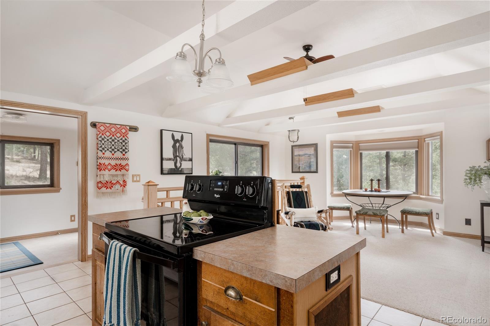 MLS Image #10 for 26885  mountain park road,evergreen, Colorado
