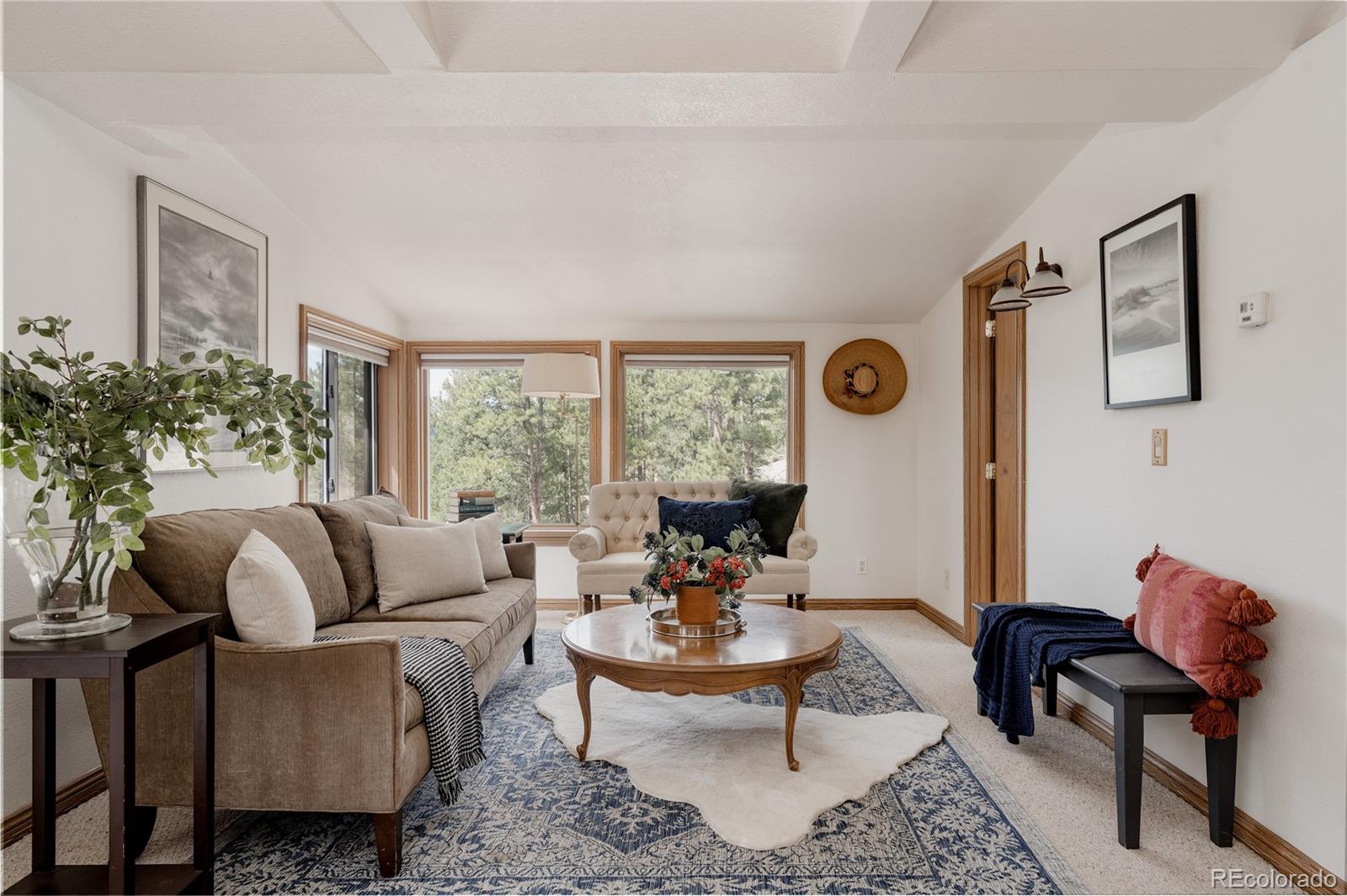 MLS Image #12 for 26885  mountain park road,evergreen, Colorado