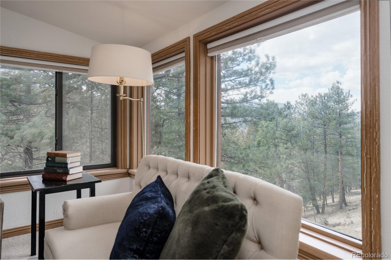 MLS Image #14 for 26885  mountain park road,evergreen, Colorado