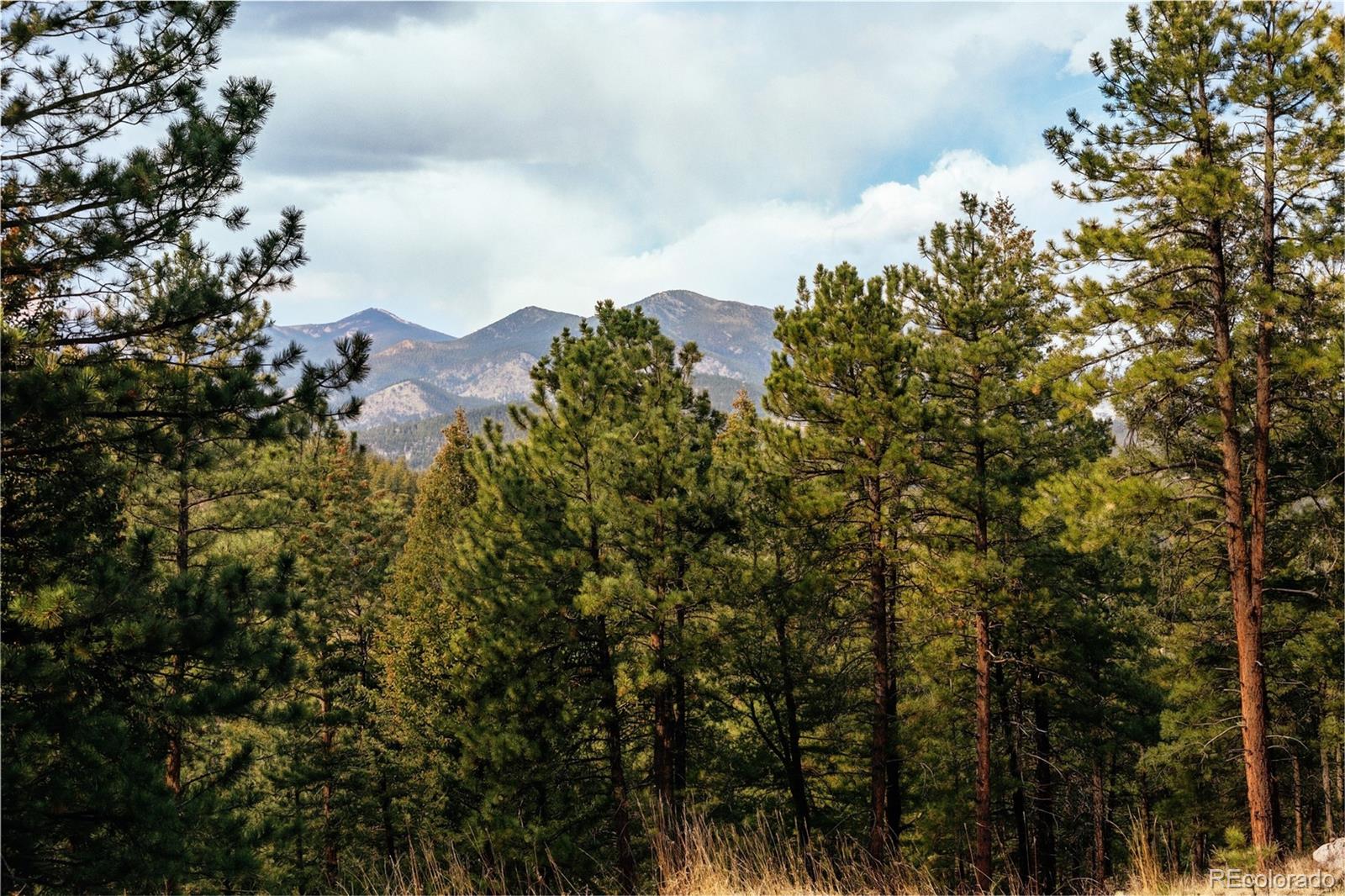 MLS Image #4 for 26885  mountain park road,evergreen, Colorado