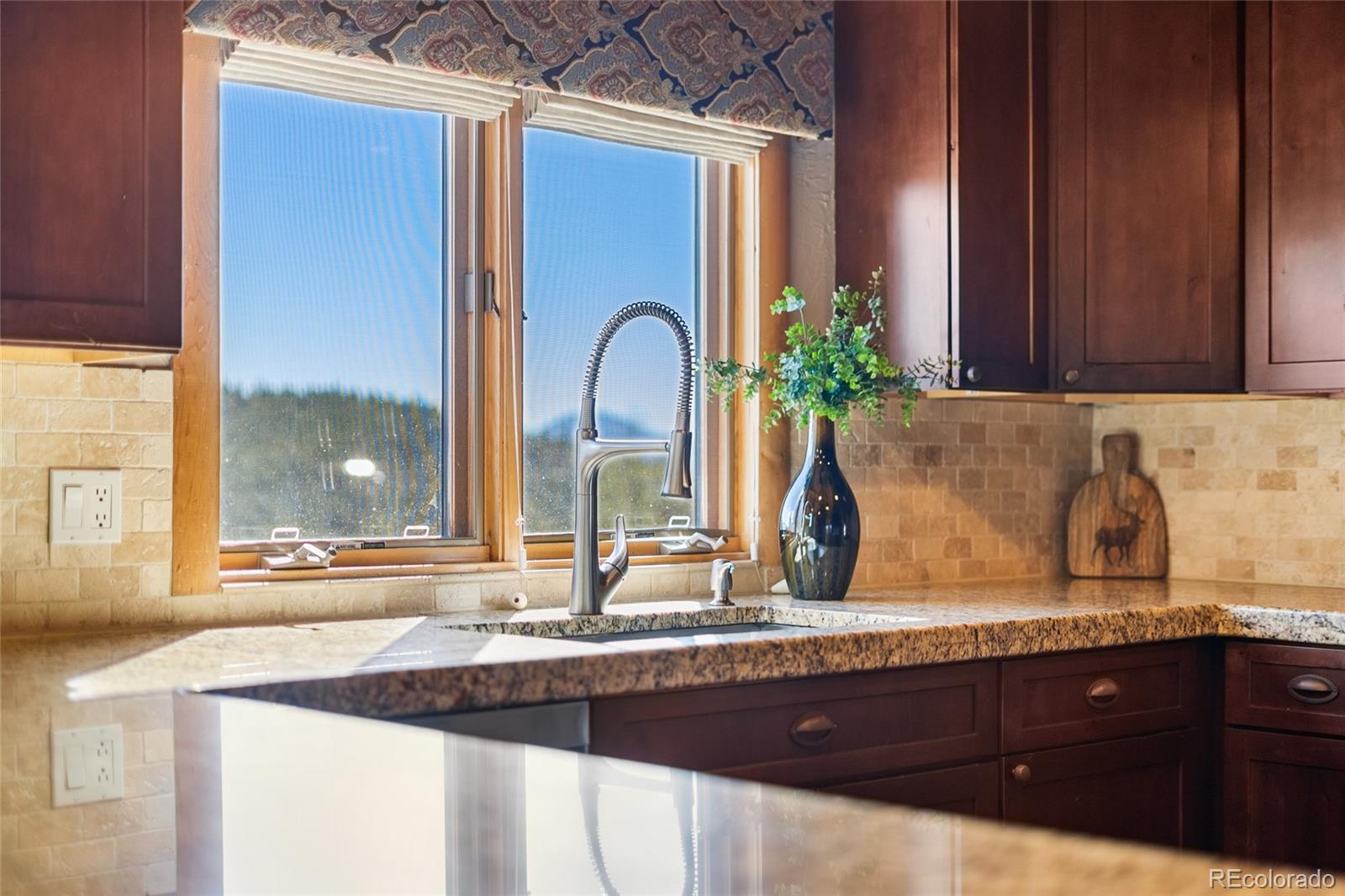 MLS Image #11 for 685  jesse lane,bailey, Colorado