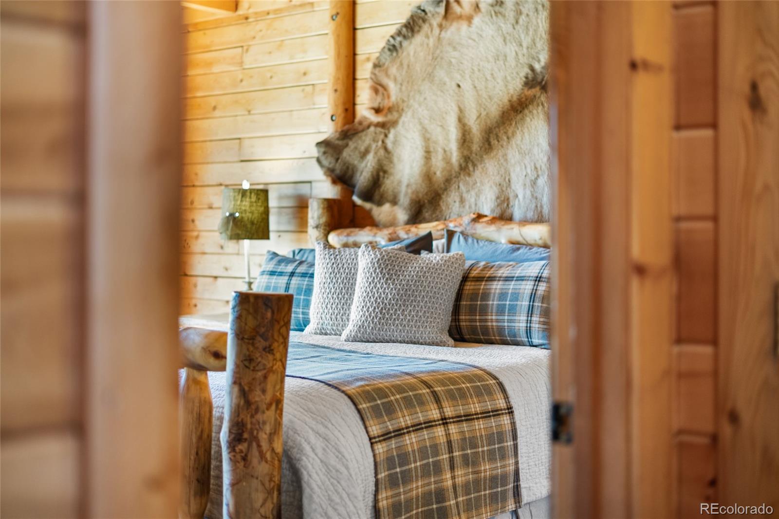 MLS Image #17 for 685  jesse lane,bailey, Colorado