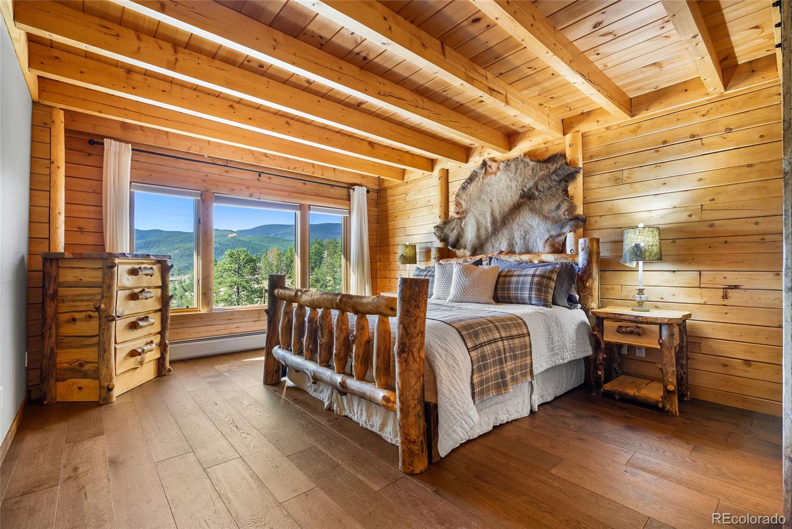 MLS Image #18 for 685  jesse lane,bailey, Colorado