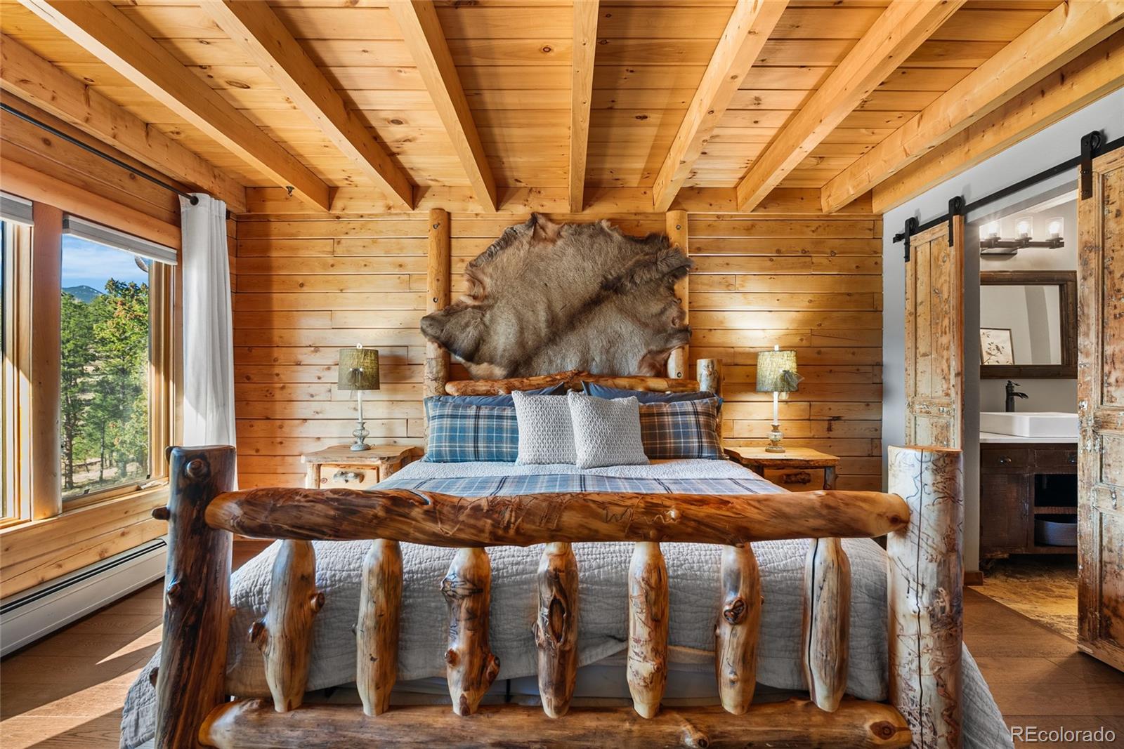 MLS Image #19 for 685  jesse lane,bailey, Colorado