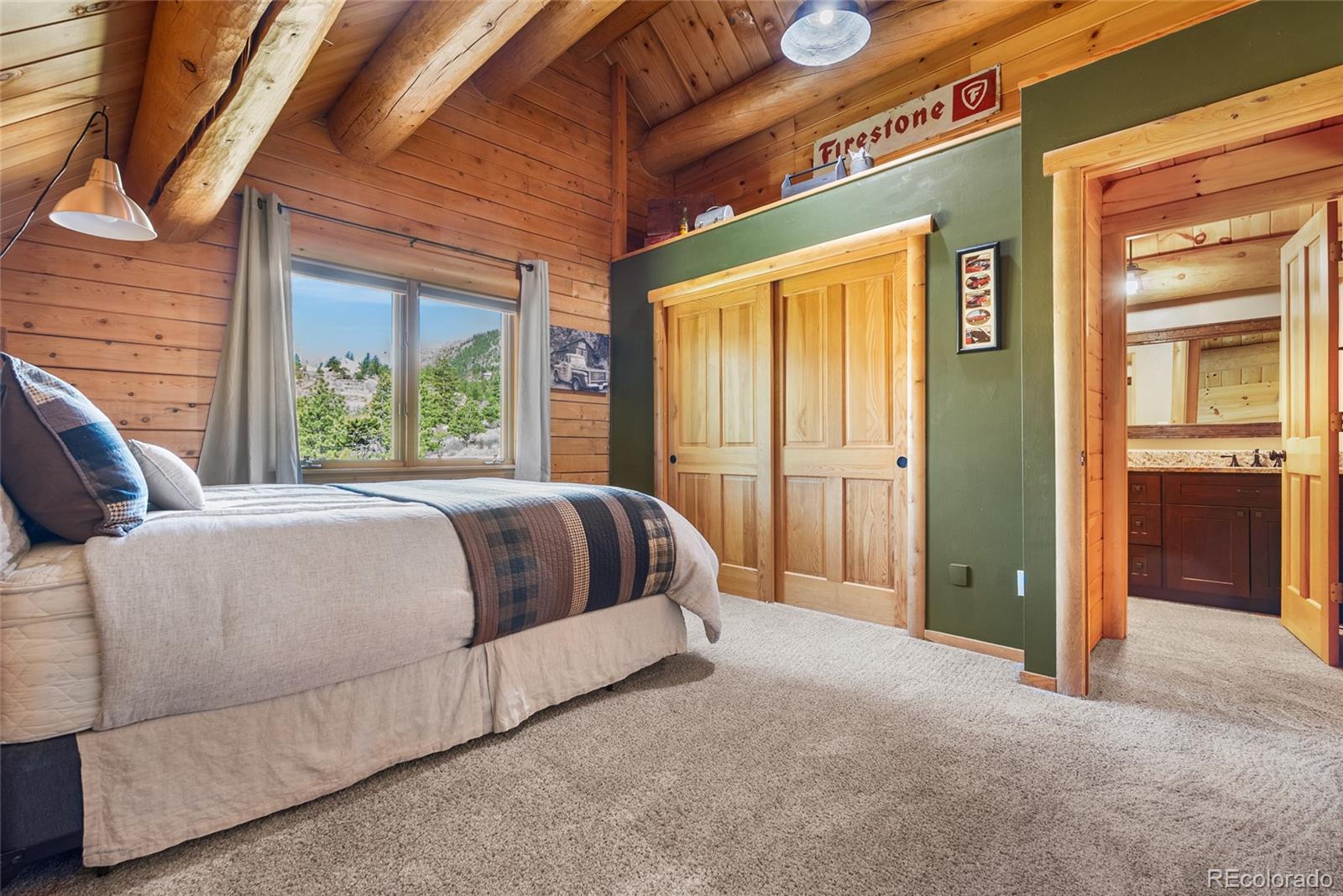 MLS Image #27 for 685  jesse lane,bailey, Colorado
