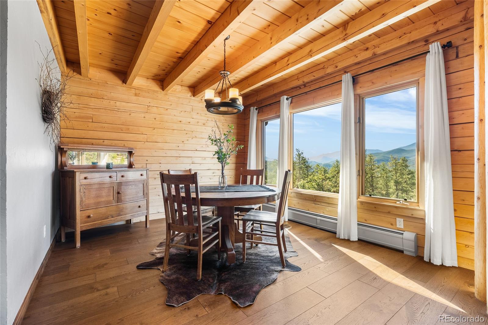 MLS Image #5 for 685  jesse lane,bailey, Colorado