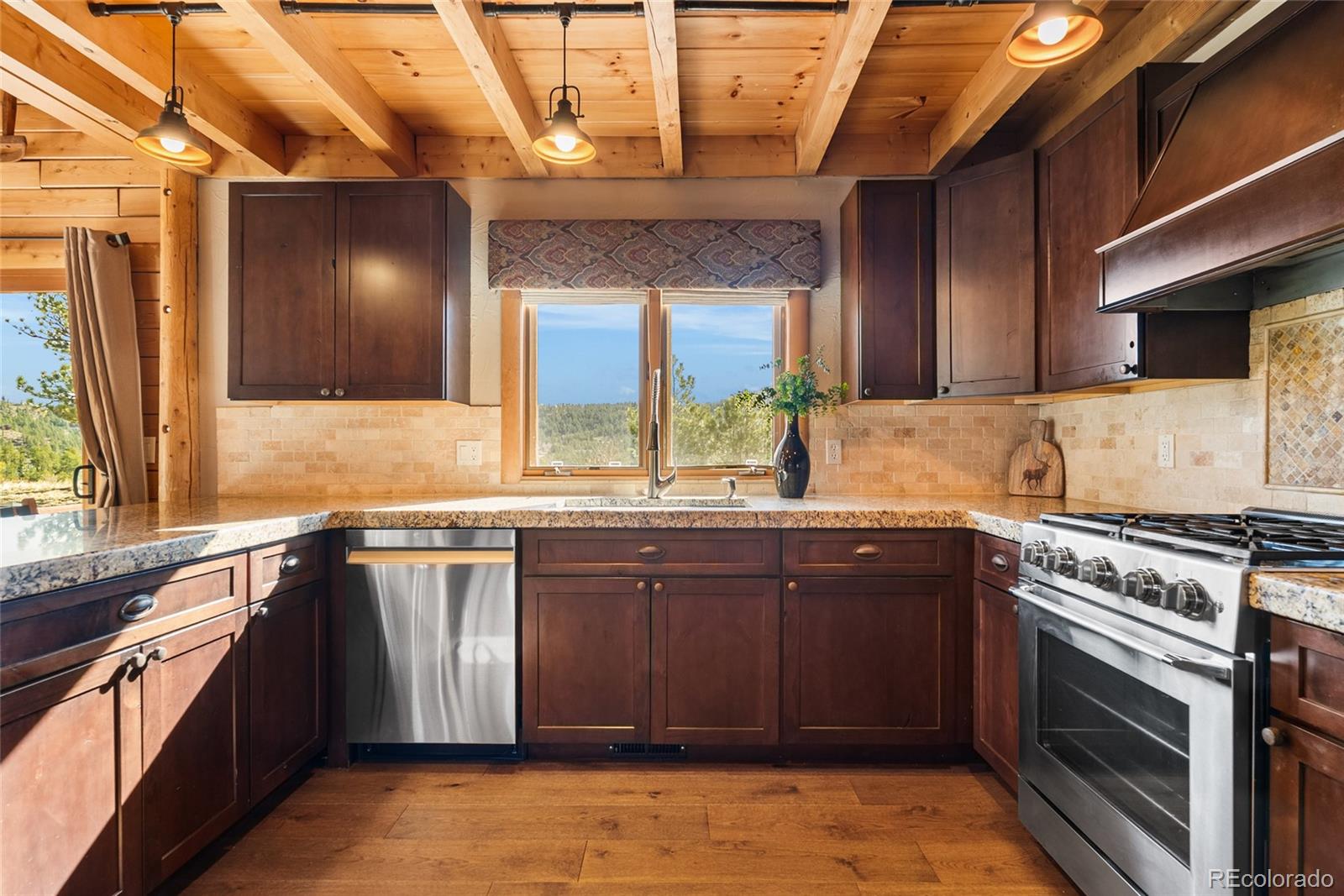 MLS Image #6 for 685  jesse lane,bailey, Colorado