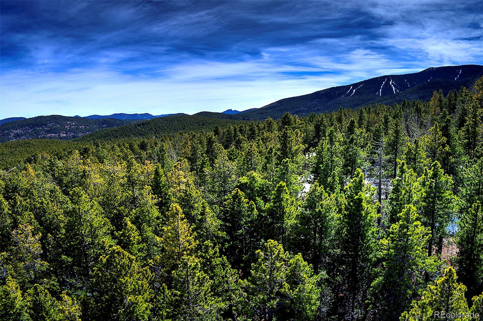 MLS Image #3 for 508  paiute road,evergreen, Colorado