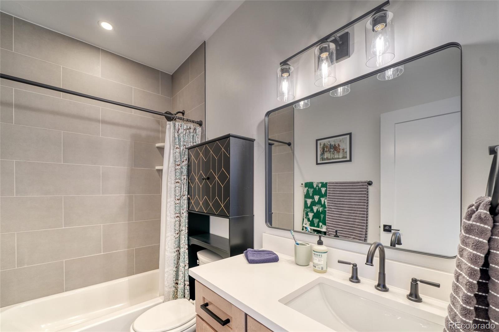 MLS Image #23 for 1404  silver vault street,leadville, Colorado