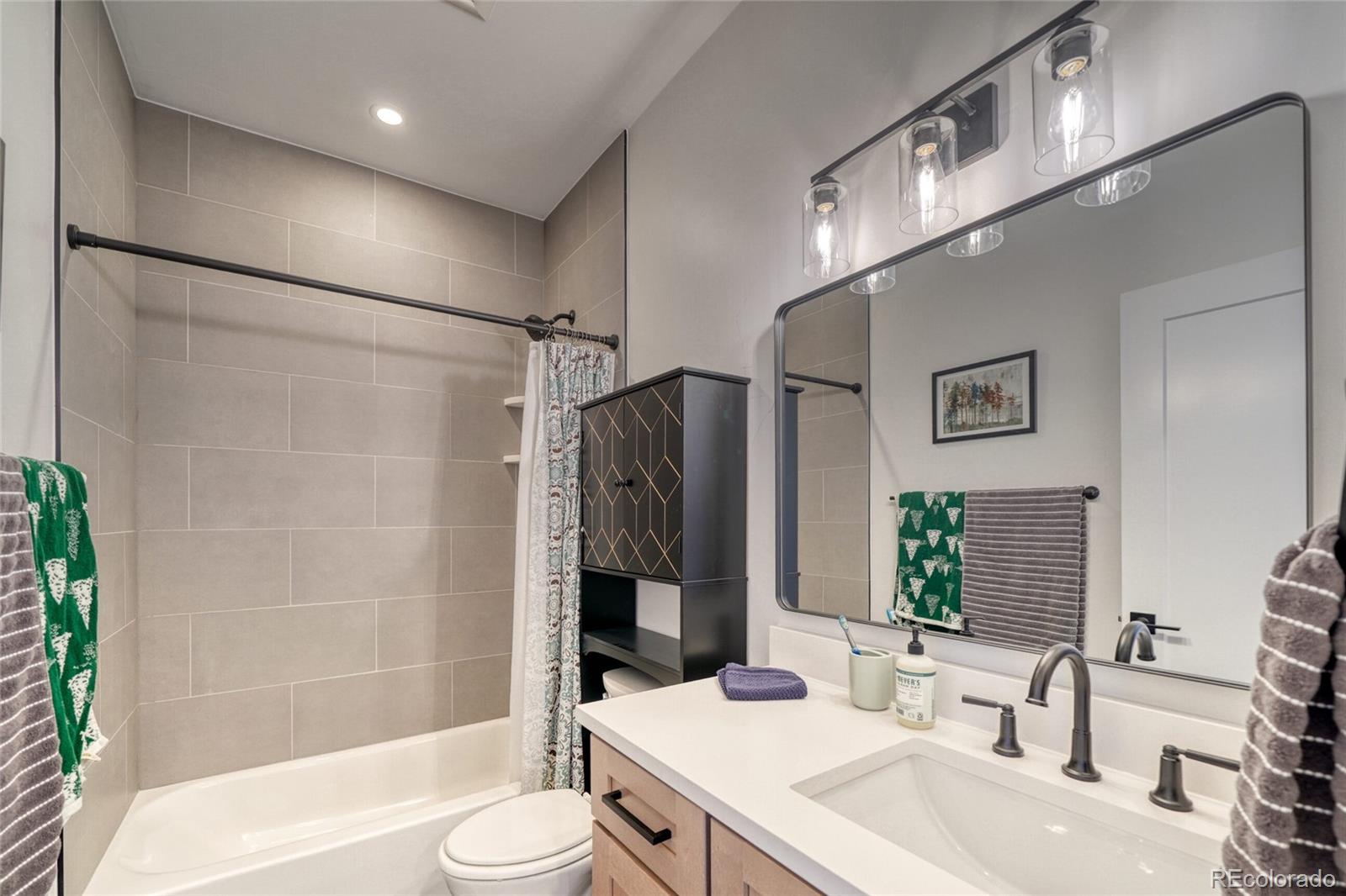MLS Image #30 for 1404  silver vault street,leadville, Colorado