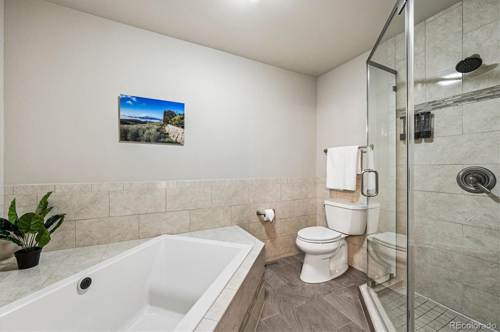 MLS Image #13 for 16065  double eagle drive,morrison, Colorado