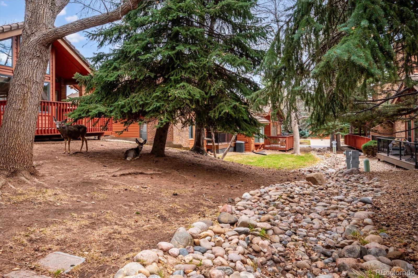 MLS Image #19 for 16065  double eagle drive,morrison, Colorado