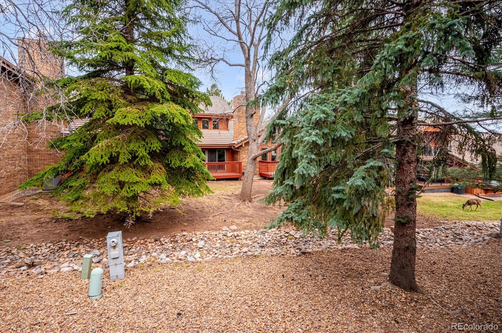 MLS Image #8 for 16065  double eagle drive,morrison, Colorado