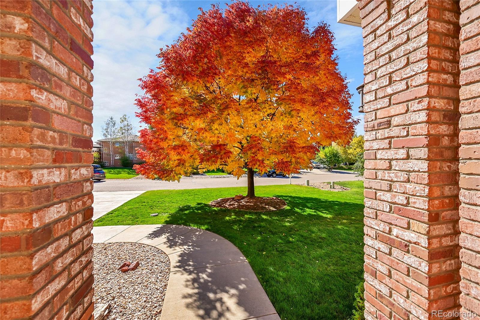 MLS Image #4 for 2204  breckenridge drive,berthoud, Colorado