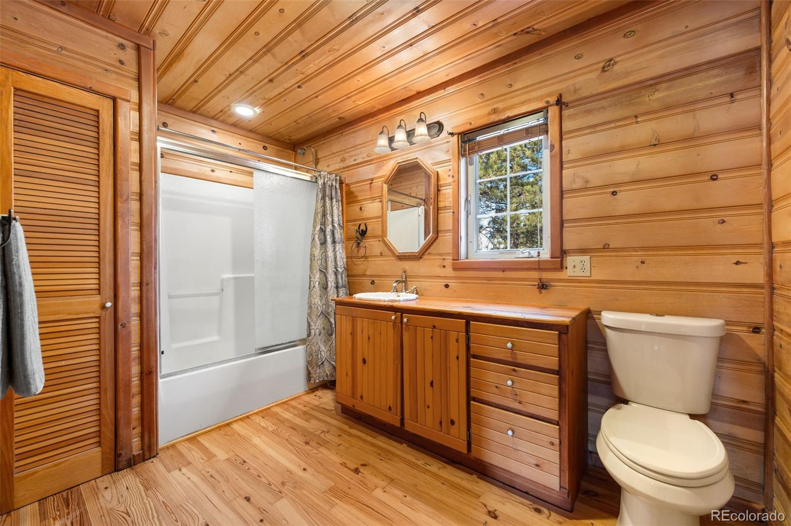 MLS Image #15 for 455  satanta circle,westcliffe, Colorado