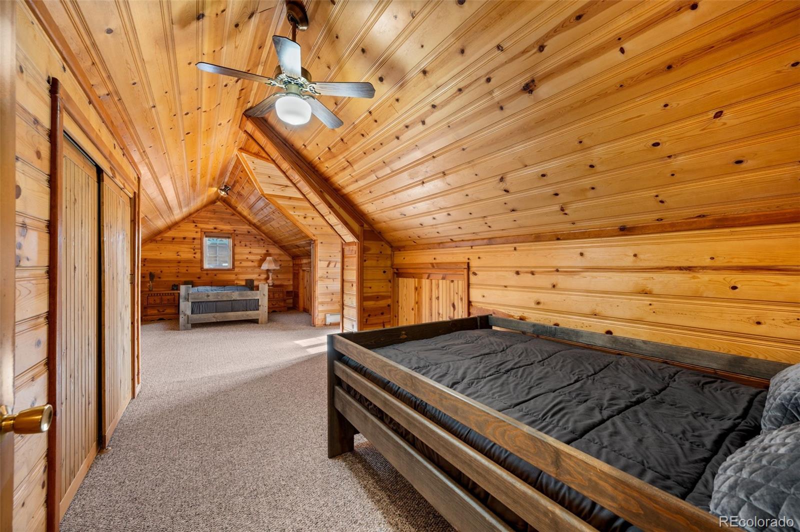 MLS Image #19 for 455  satanta circle,westcliffe, Colorado