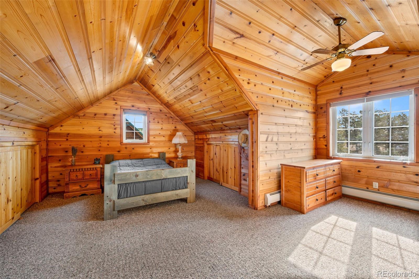 MLS Image #20 for 455  satanta circle,westcliffe, Colorado