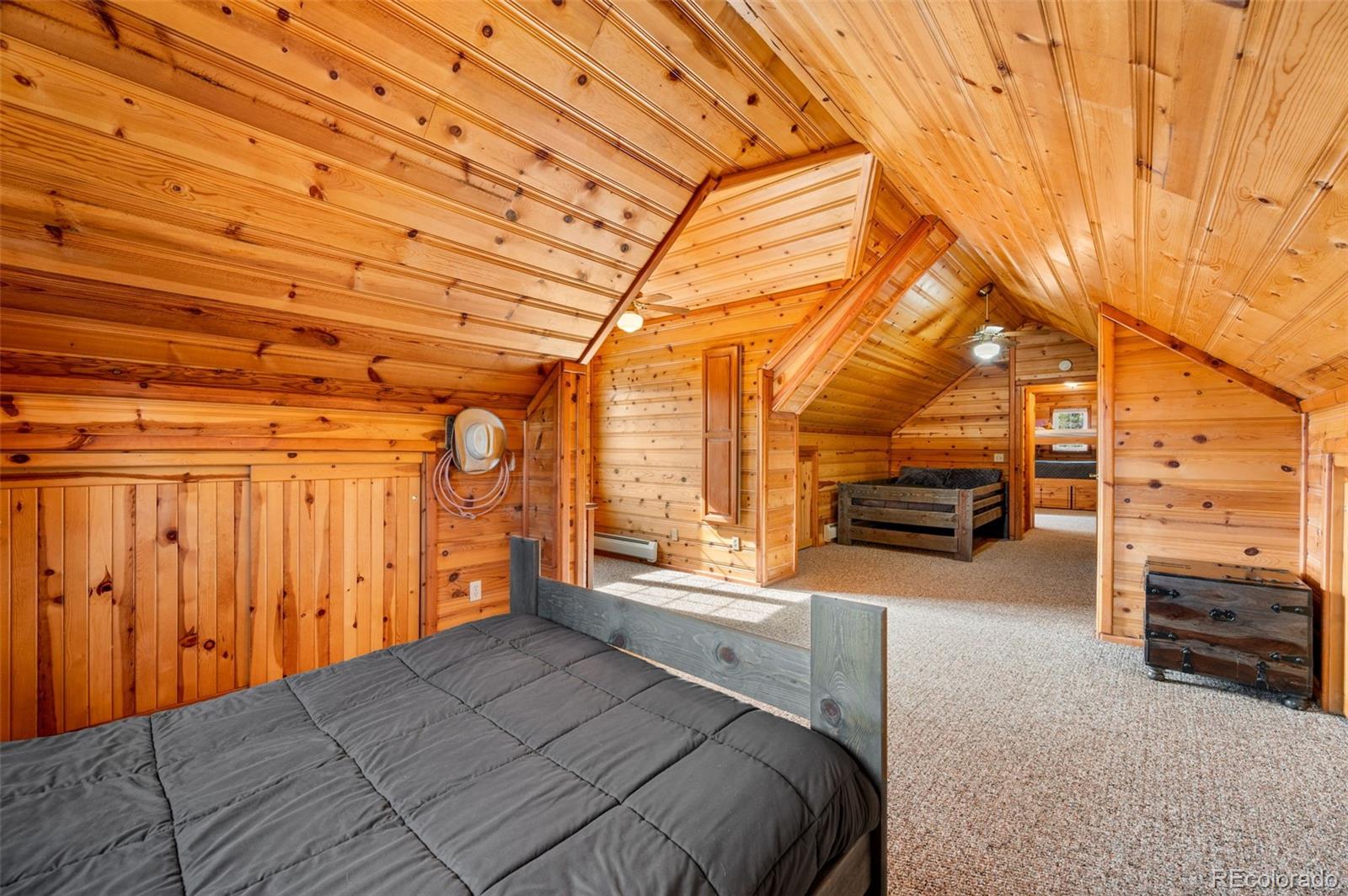 MLS Image #21 for 455  satanta circle,westcliffe, Colorado