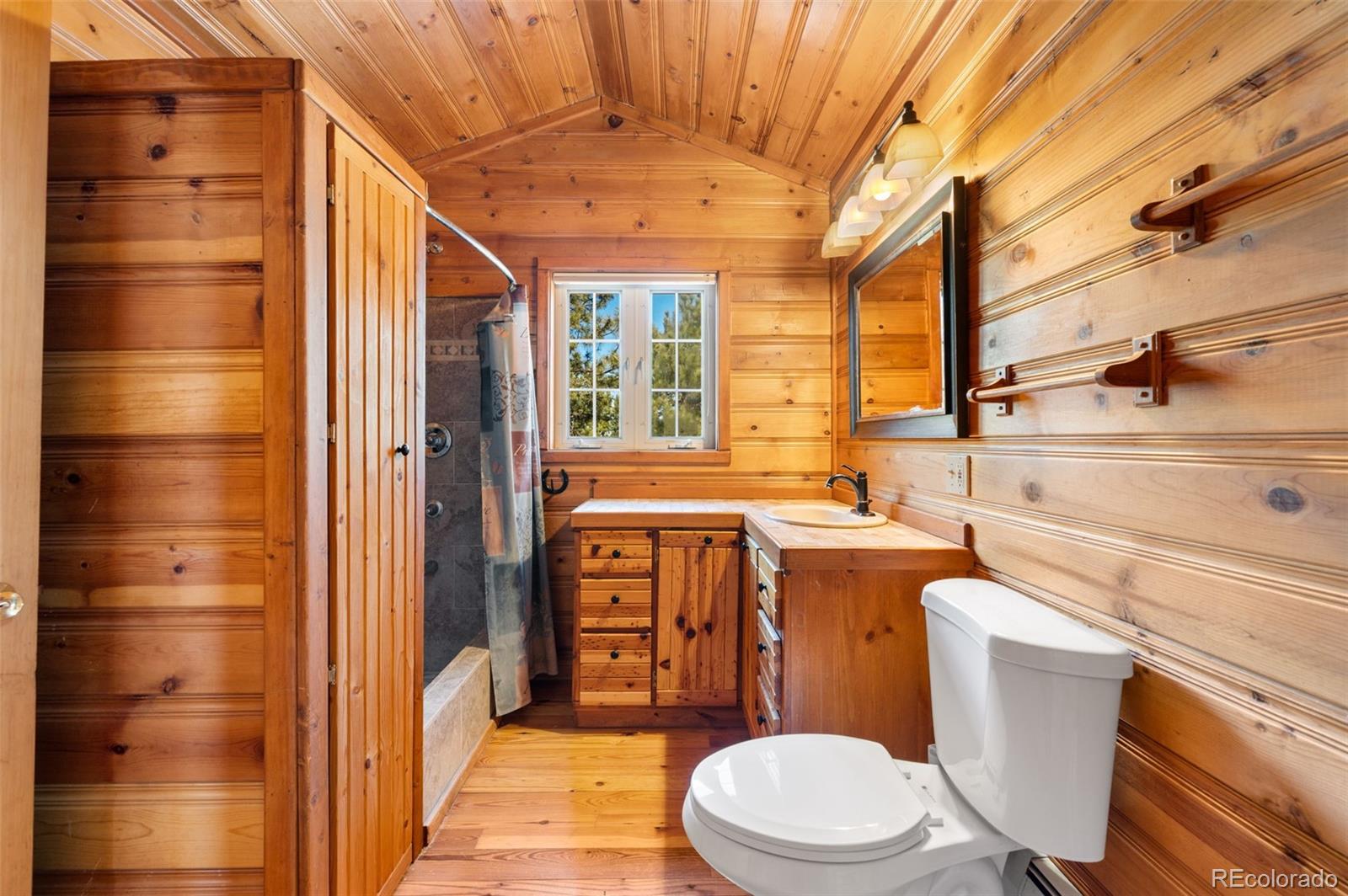 MLS Image #22 for 455  satanta circle,westcliffe, Colorado