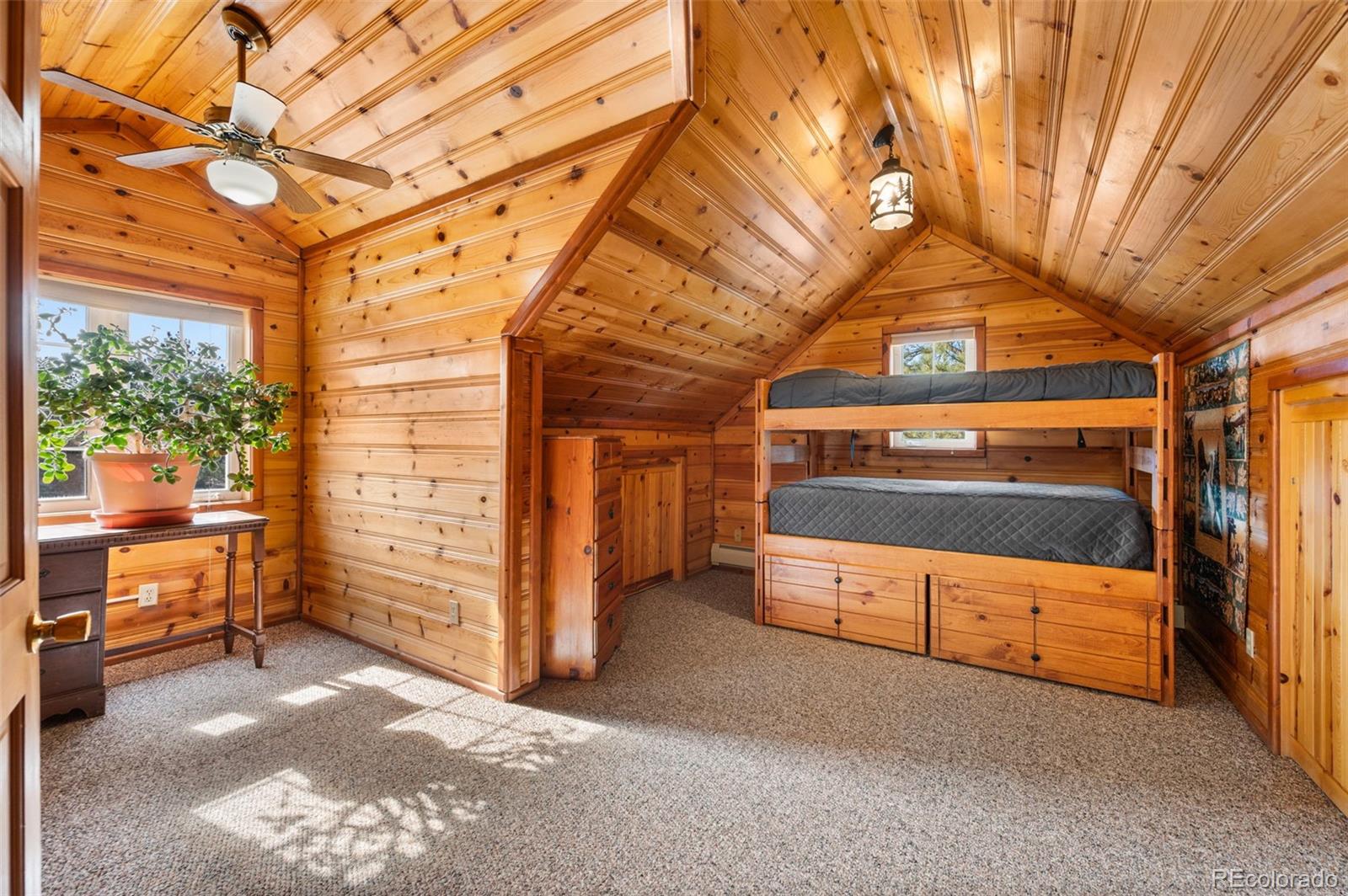 MLS Image #23 for 455  satanta circle,westcliffe, Colorado