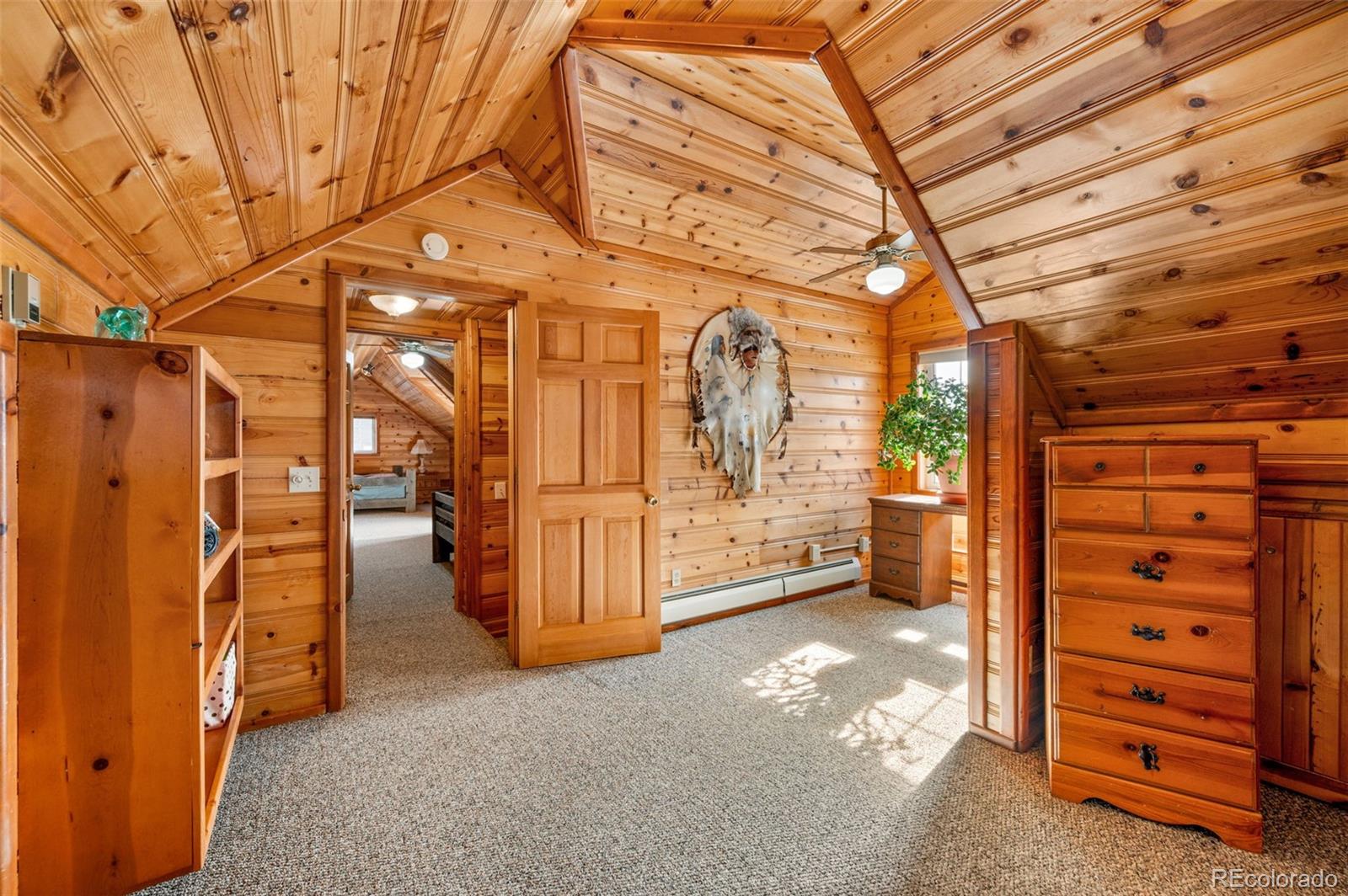 MLS Image #24 for 455  satanta circle,westcliffe, Colorado