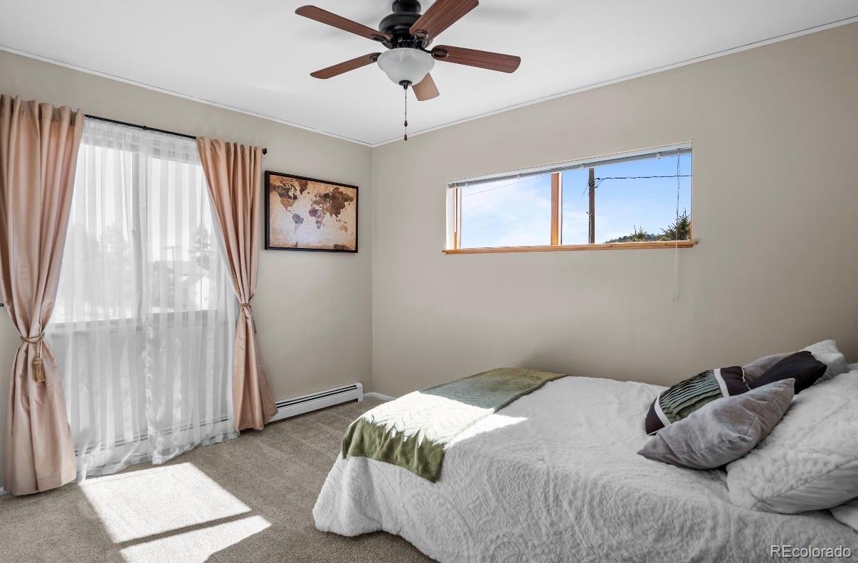 MLS Image #13 for 320  columbine road,palmer lake, Colorado