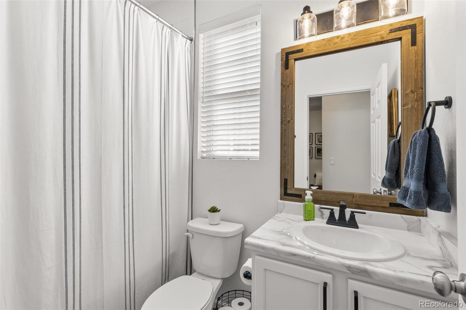 MLS Image #15 for 9232  birr court,colorado springs, Colorado