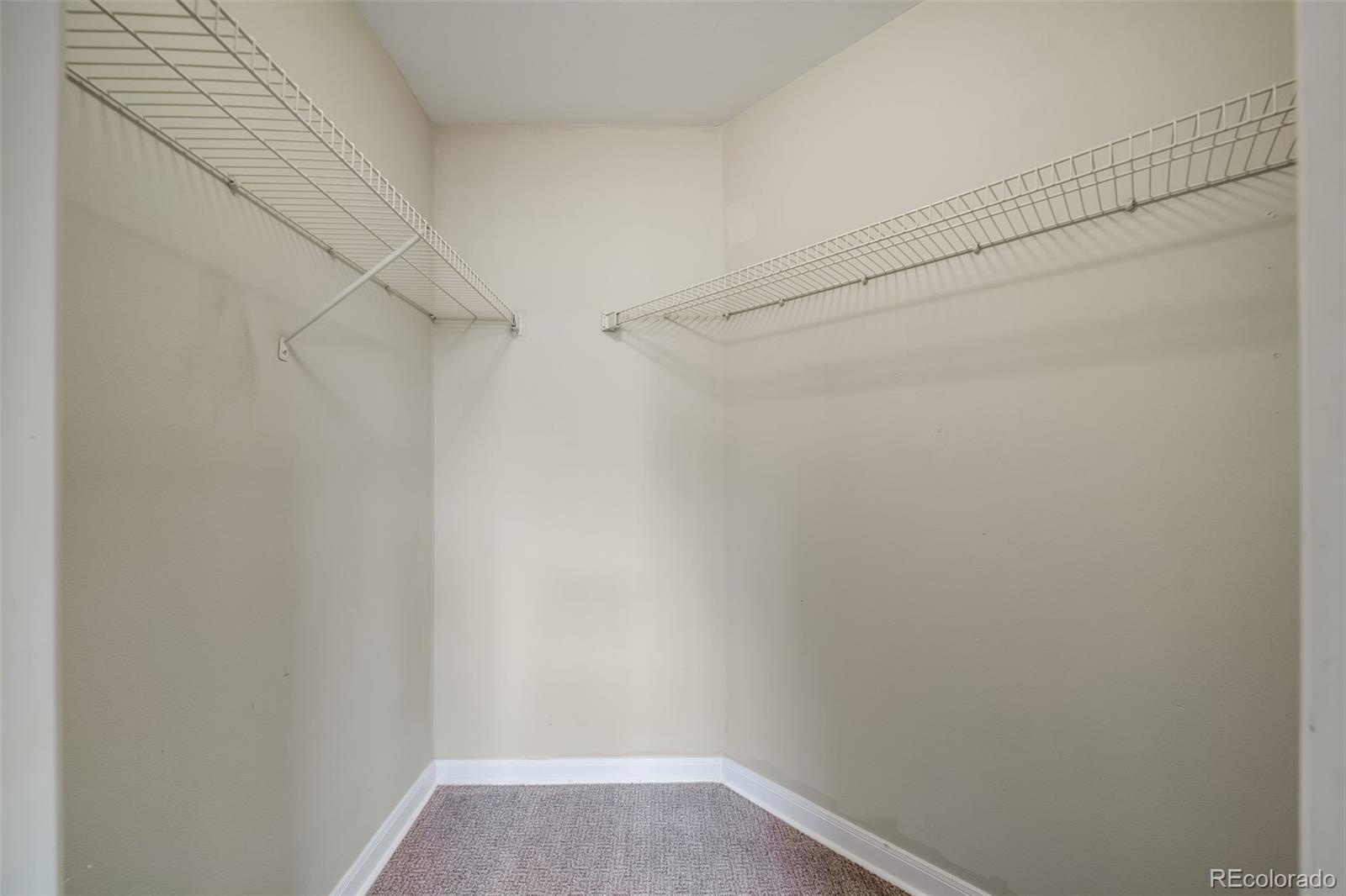 MLS Image #29 for 12858  ironstone way,parker, Colorado