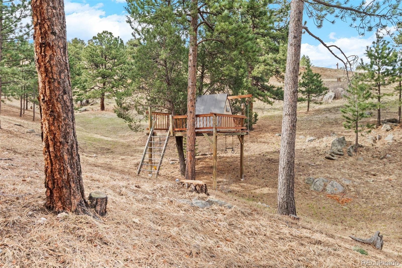 MLS Image #46 for 33208  alta vista drive,evergreen, Colorado