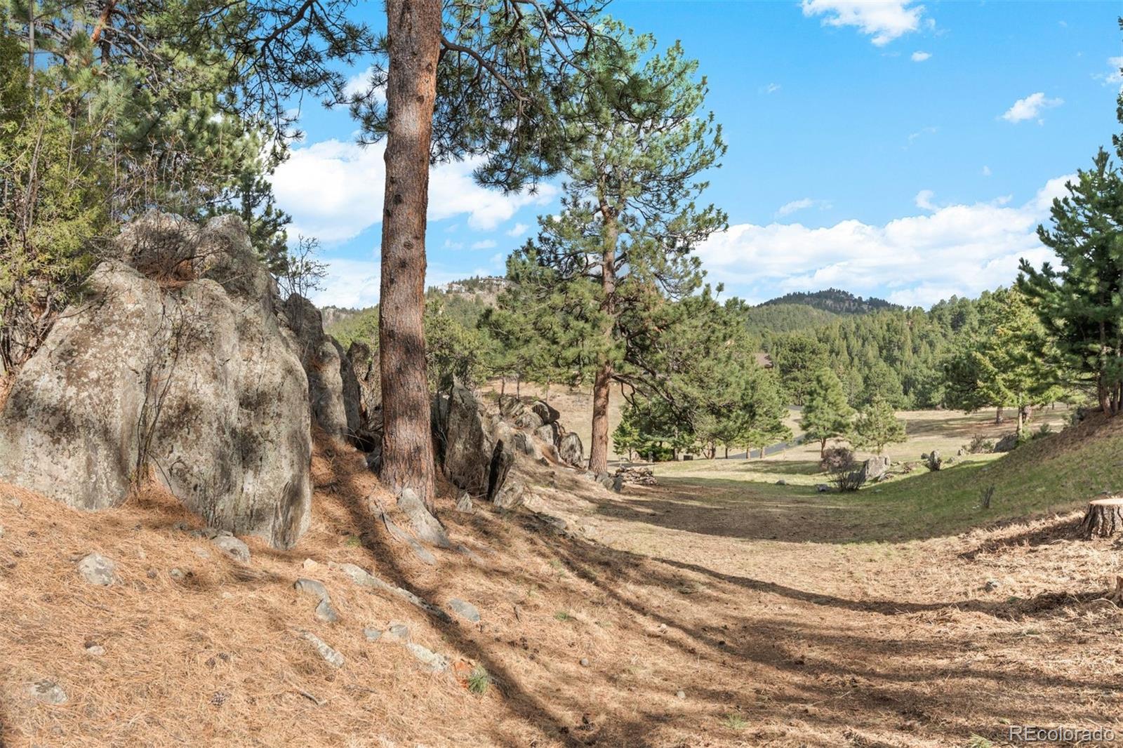 MLS Image #47 for 33208  alta vista drive,evergreen, Colorado