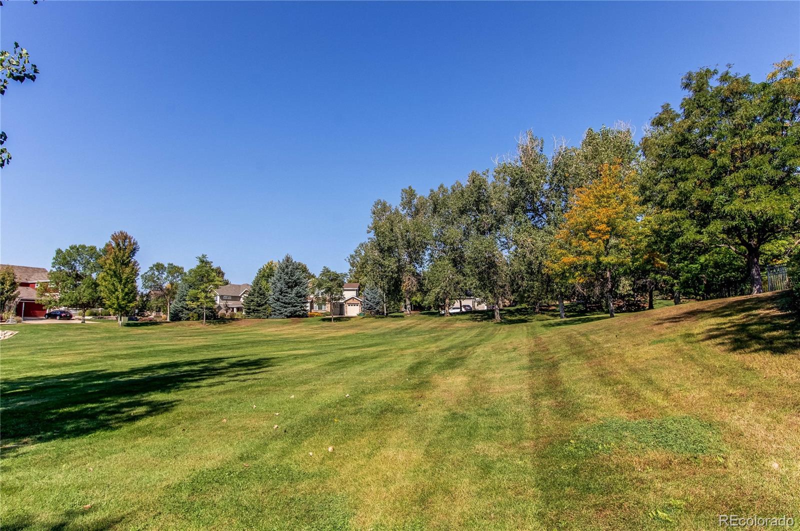 MLS Image #33 for 13900  lake song lane,broomfield, Colorado