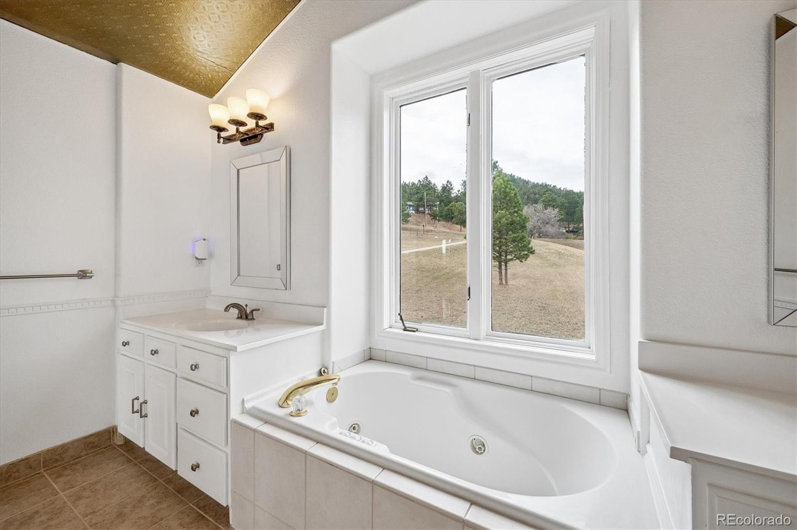 MLS Image #14 for 6320  valley lane,morrison, Colorado