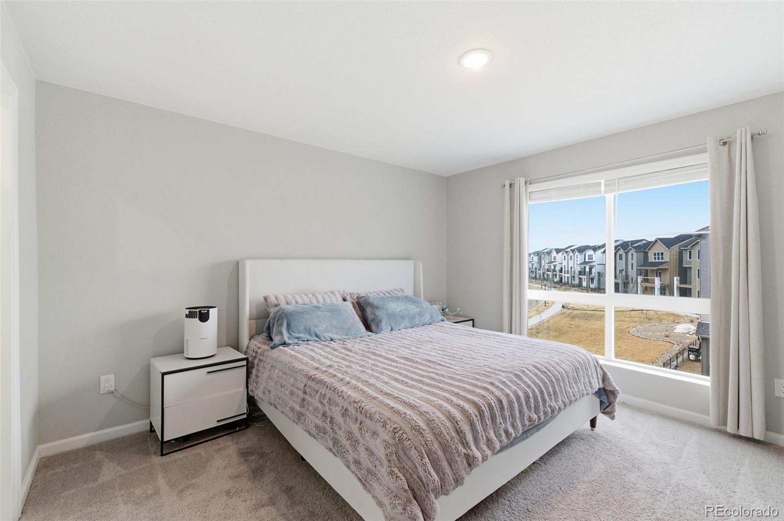MLS Image #12 for 10653  larimar point,colorado springs, Colorado