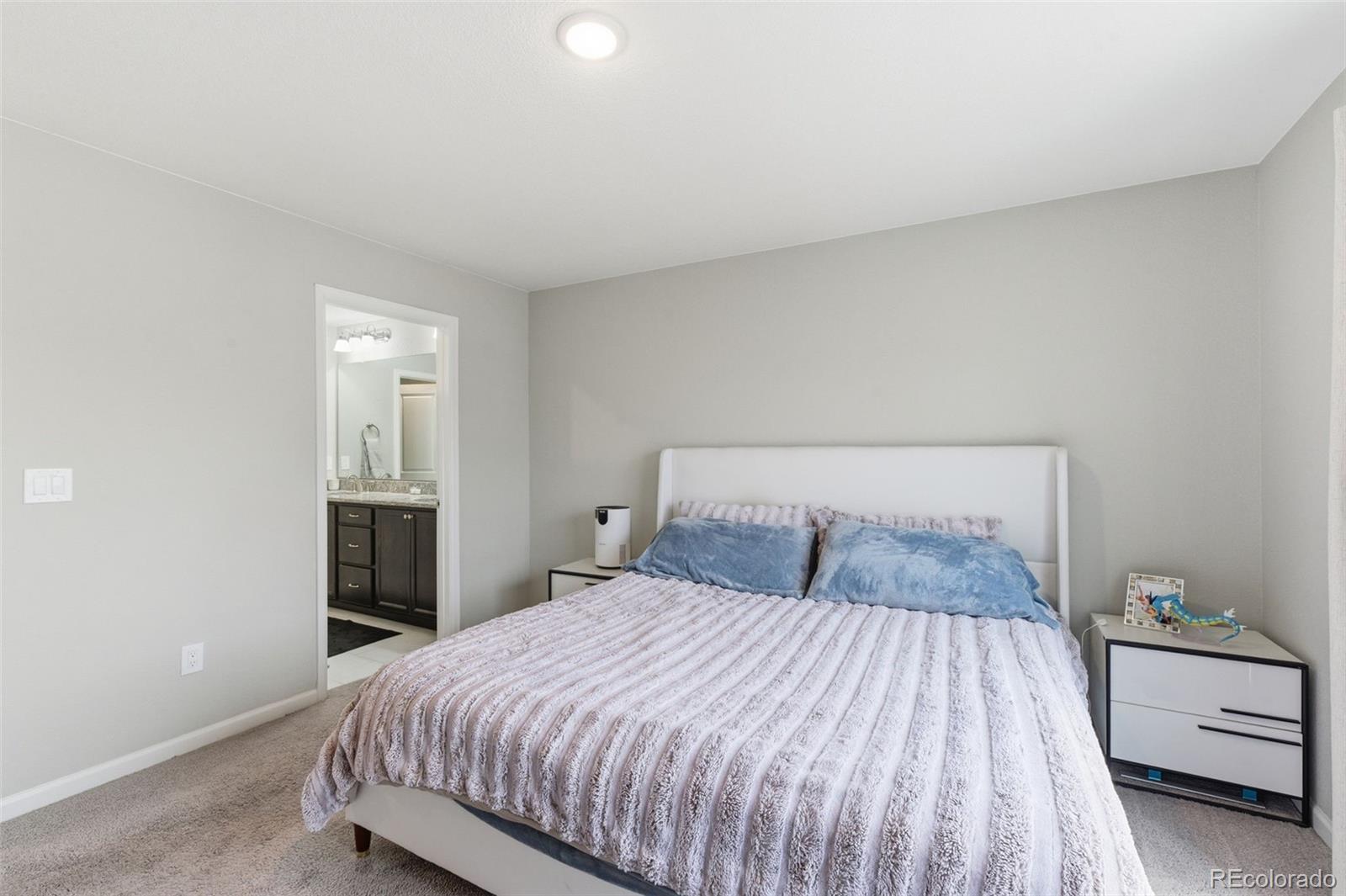 MLS Image #13 for 10653  larimar point,colorado springs, Colorado