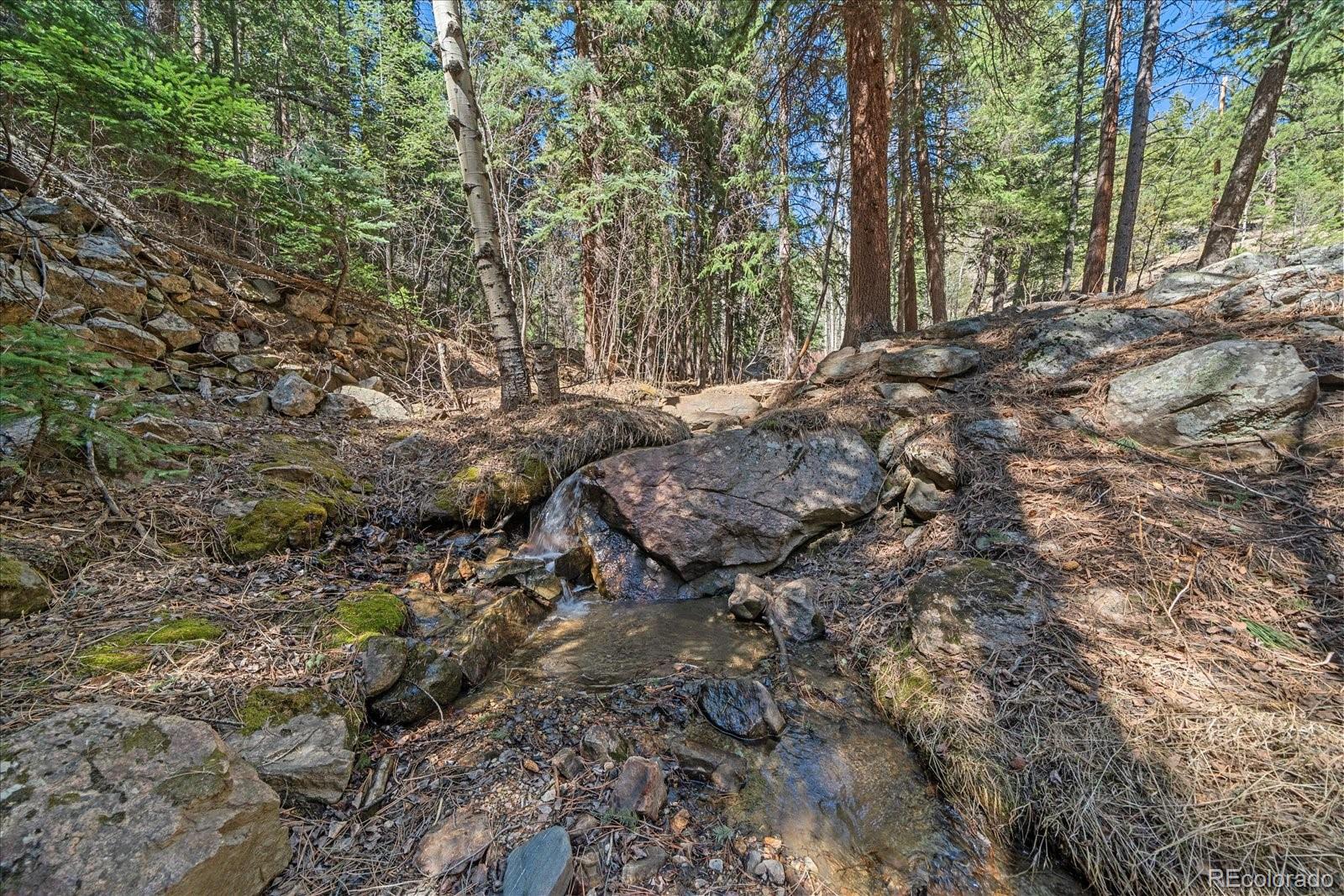 MLS Image #40 for 1385  beaver brook canyon road,evergreen, Colorado
