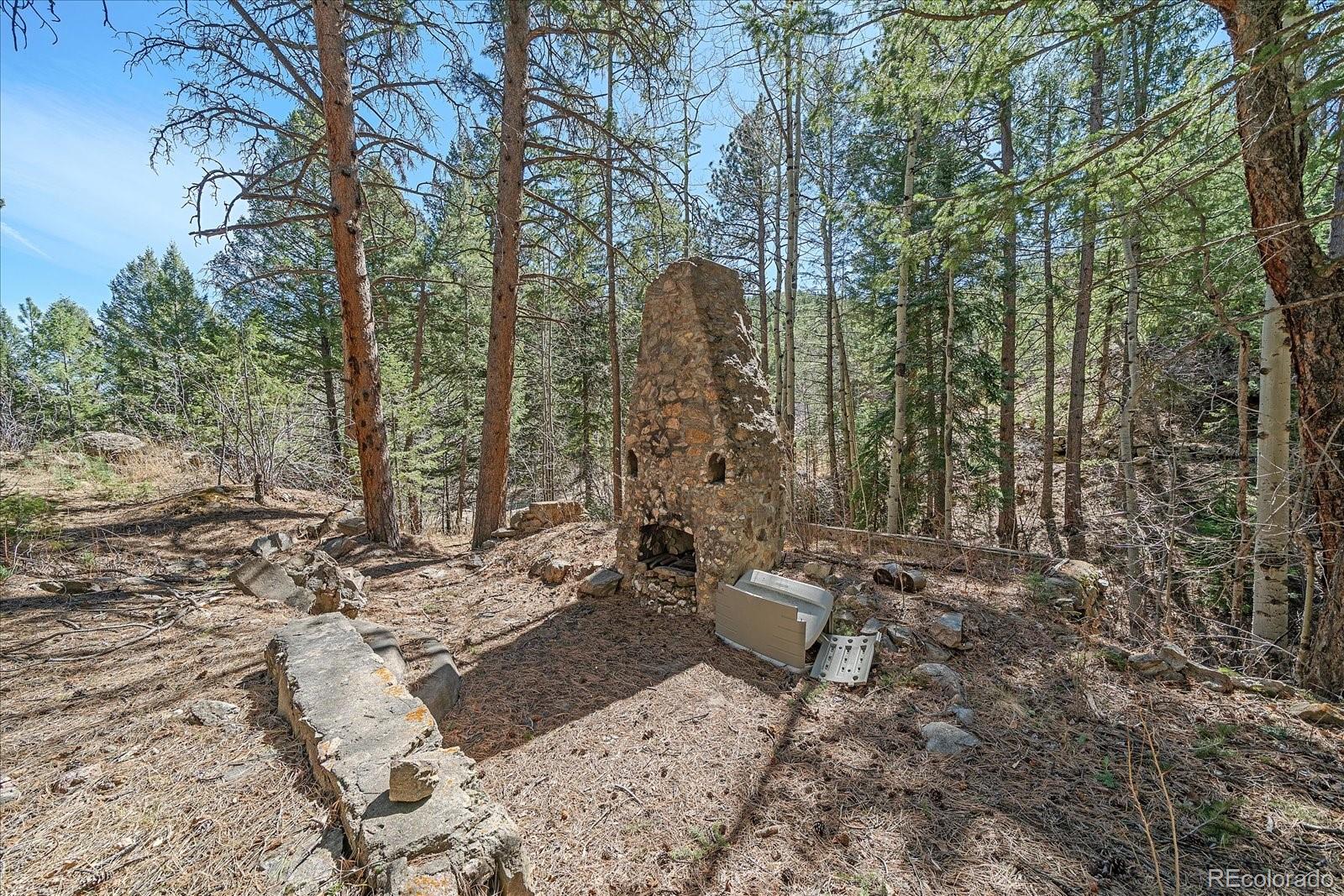MLS Image #41 for 1385  beaver brook canyon road,evergreen, Colorado