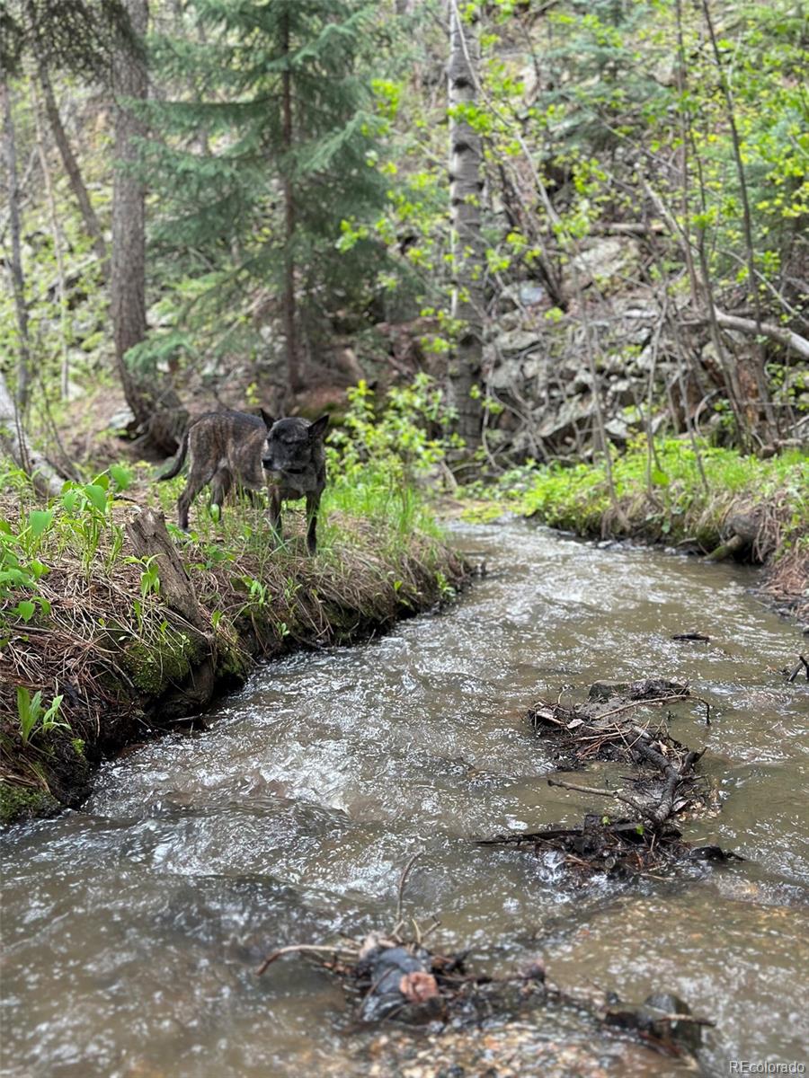MLS Image #46 for 1385  beaver brook canyon road,evergreen, Colorado