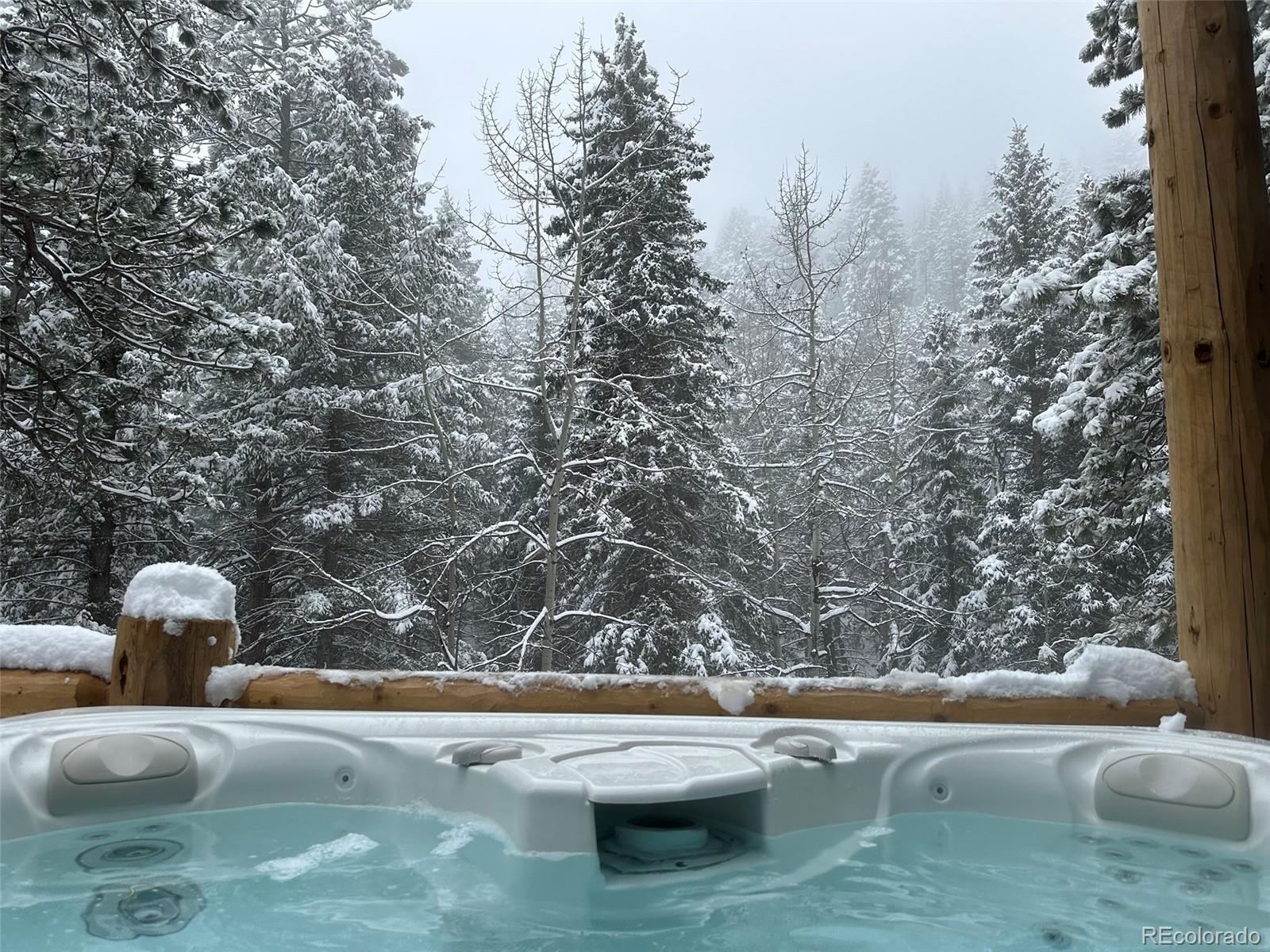 MLS Image #47 for 1385  beaver brook canyon road,evergreen, Colorado