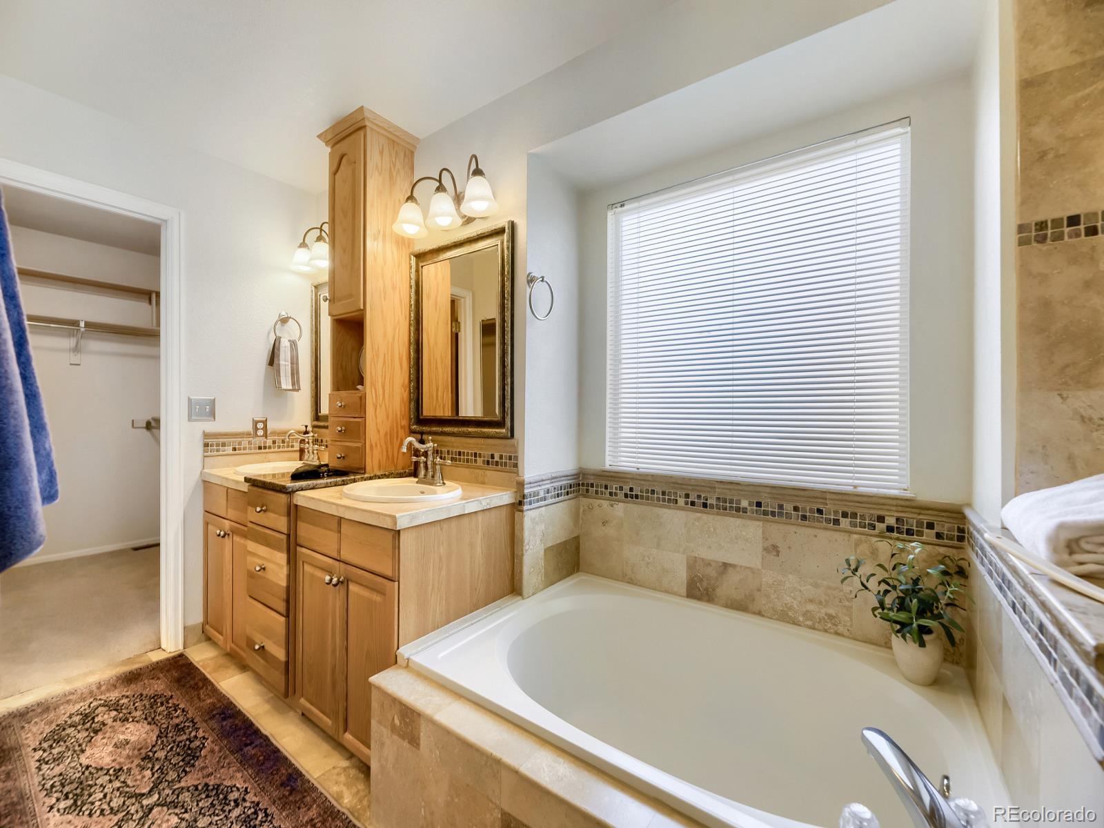 MLS Image #19 for 20416  brookdale lane,parker, Colorado