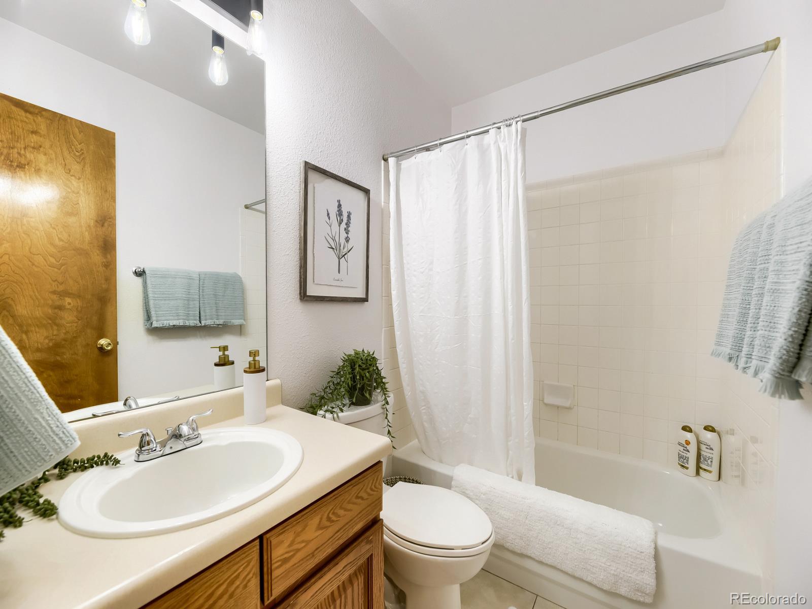 MLS Image #23 for 20416  brookdale lane,parker, Colorado