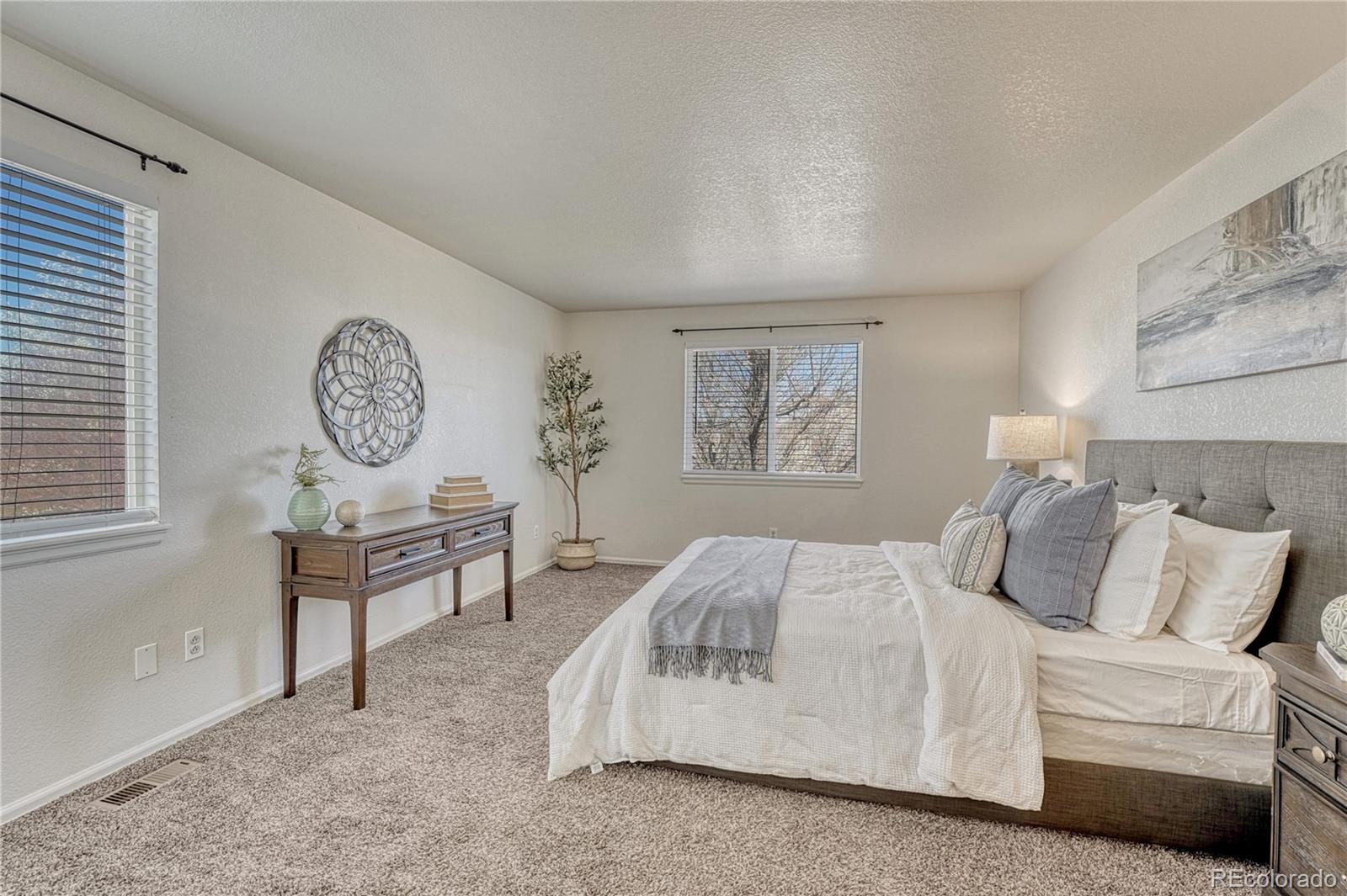 MLS Image #20 for 18295  michigan creek way,parker, Colorado