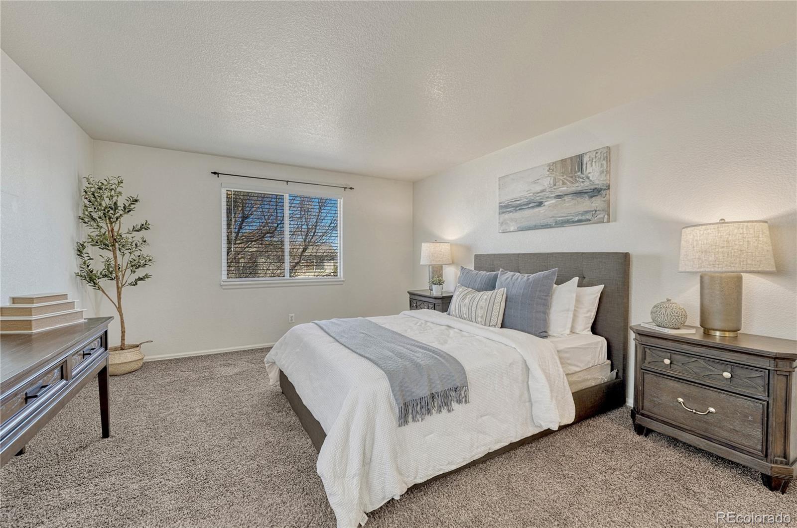MLS Image #21 for 18295  michigan creek way,parker, Colorado