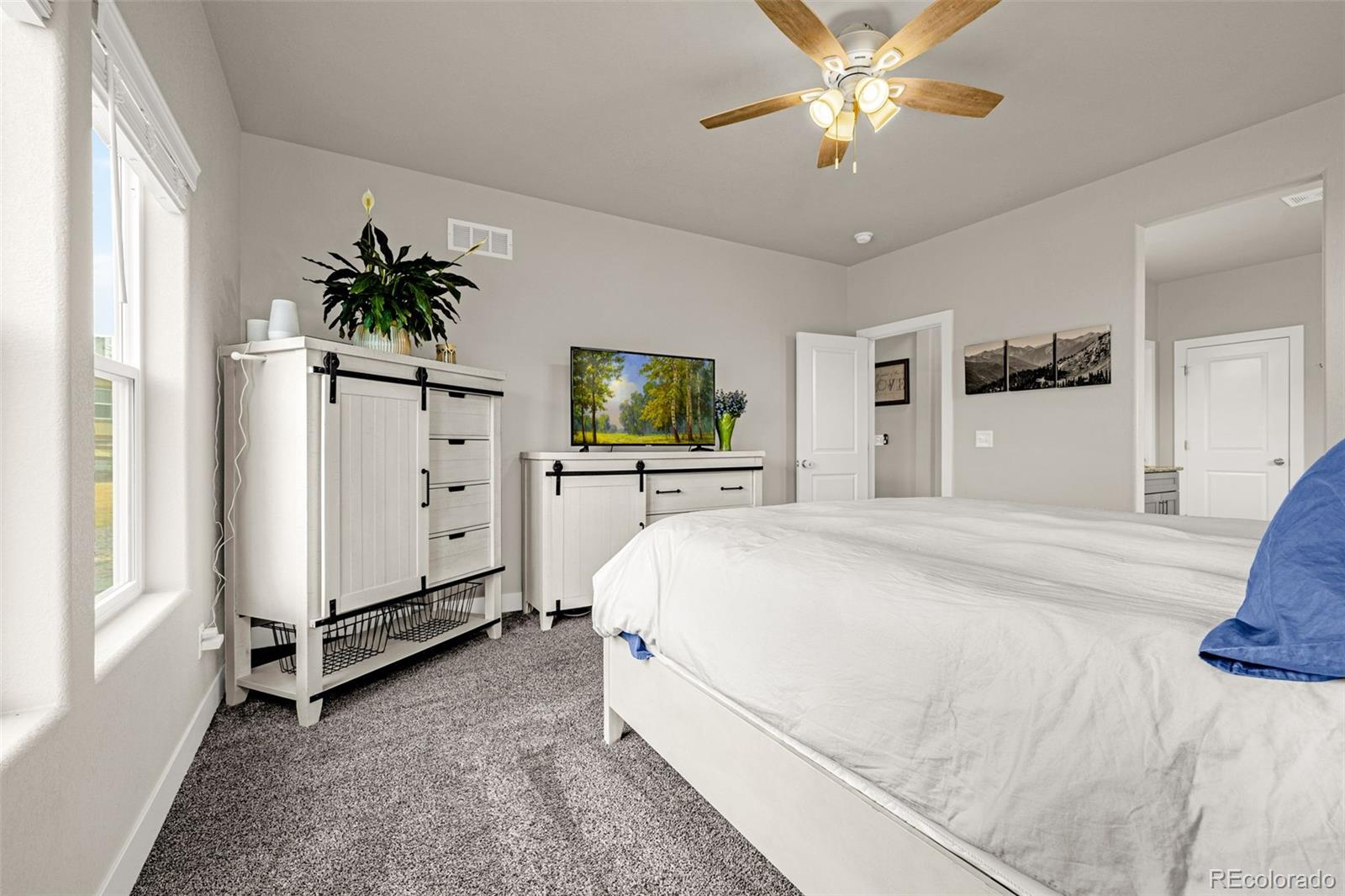 MLS Image #16 for 9080  bugaboo drive,colorado springs, Colorado