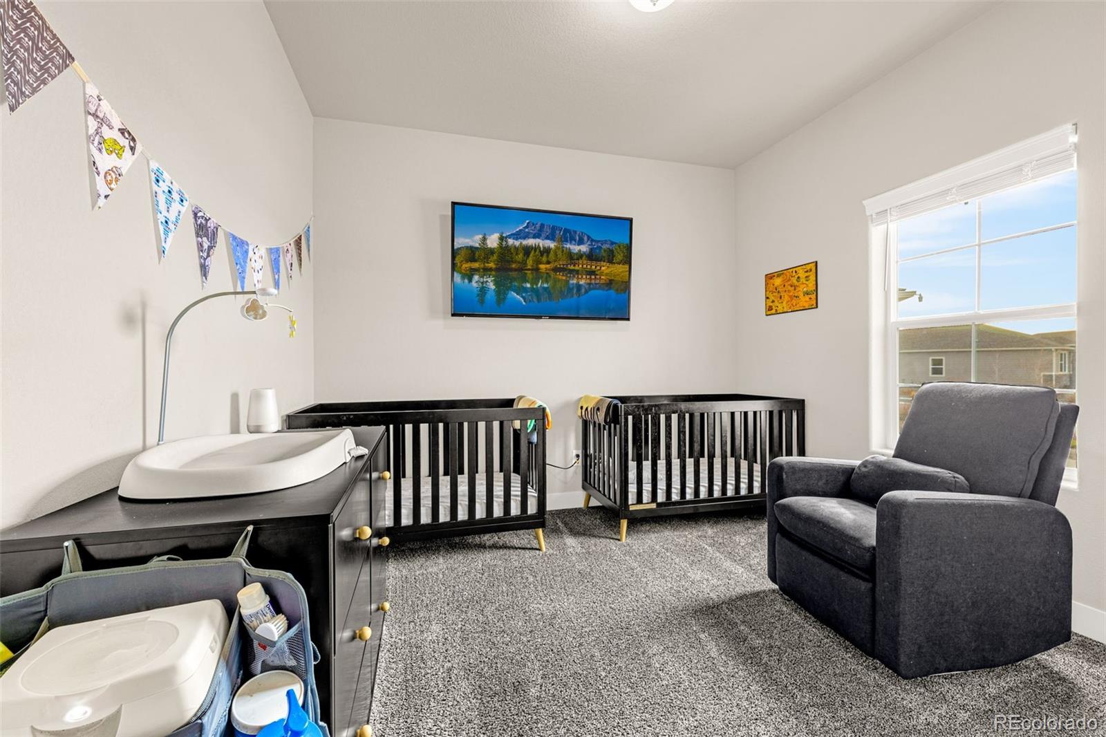 MLS Image #23 for 9080  bugaboo drive,colorado springs, Colorado