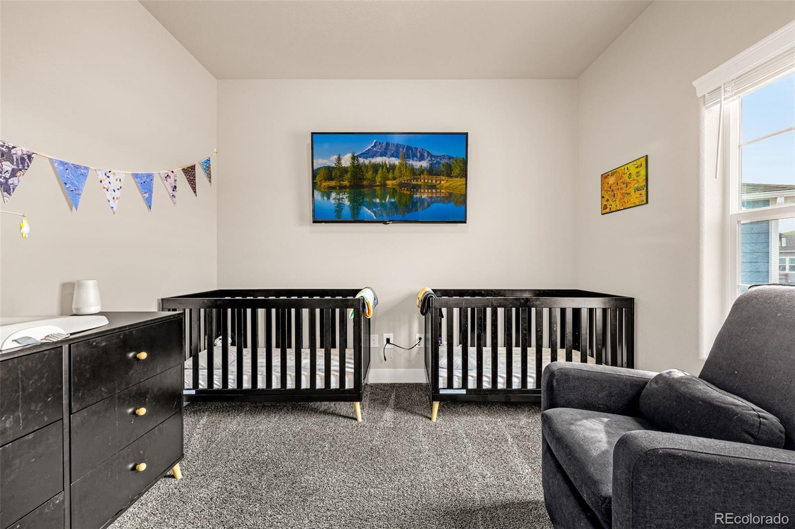 MLS Image #24 for 9080  bugaboo drive,colorado springs, Colorado