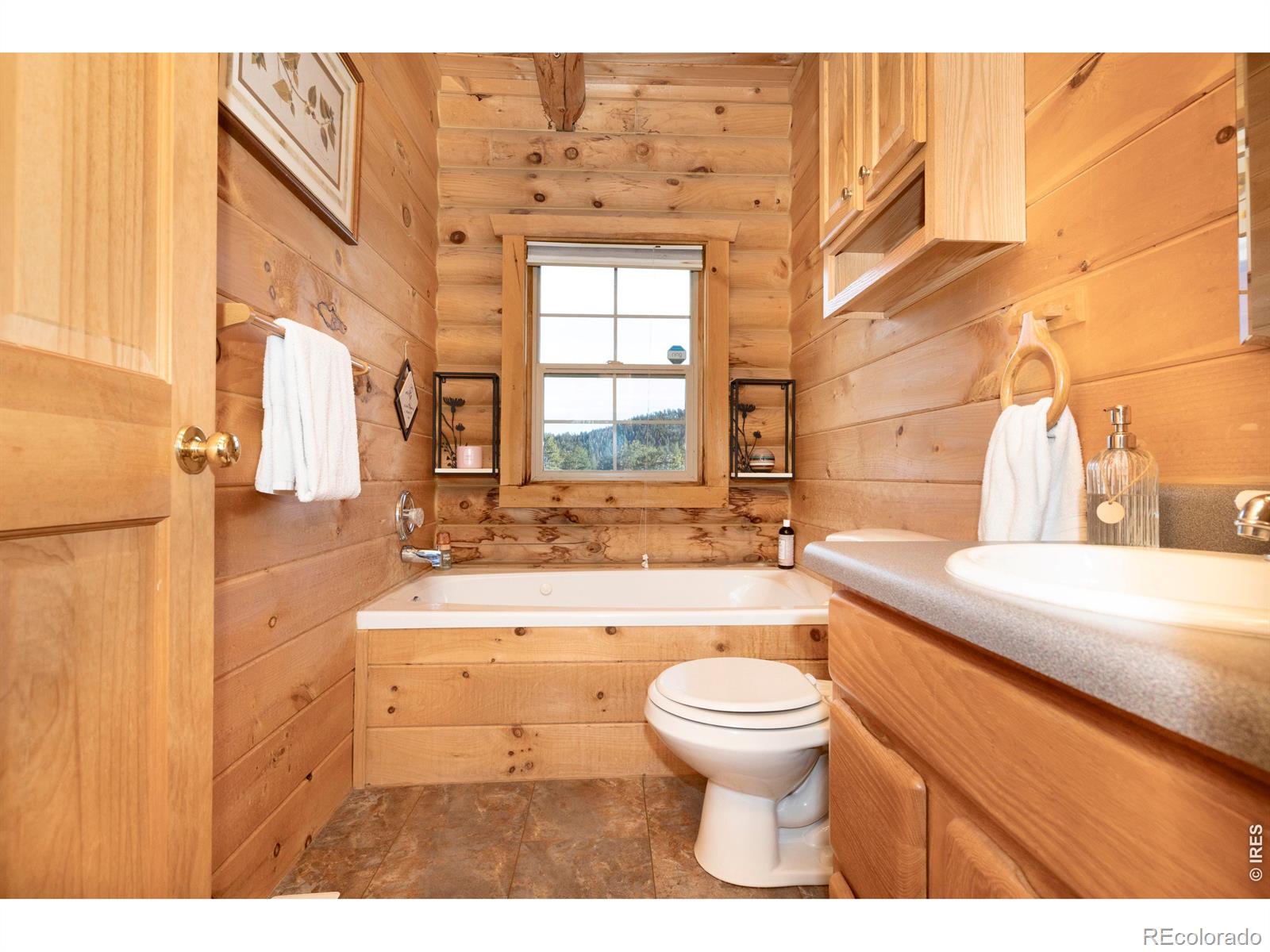 MLS Image #19 for 120 n cucharas mountain court,livermore, Colorado