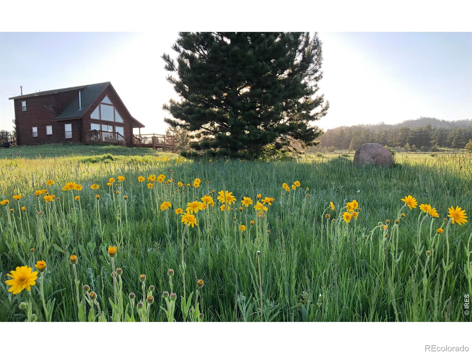MLS Image #2 for 120 n cucharas mountain court,livermore, Colorado