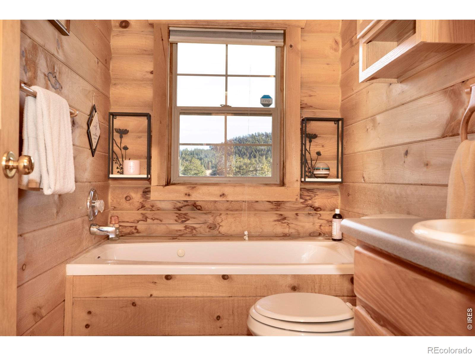 MLS Image #20 for 120 n cucharas mountain court,livermore, Colorado